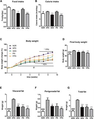 Anti-Obesity Effect of Fermented Panax notoginseng Is Mediated Via Modulation of Appetite and Gut Microbial Population